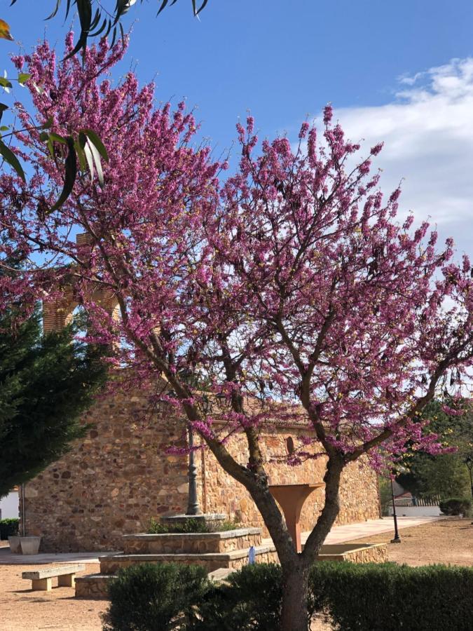 El Granado Villa Piedrabuena Eksteriør billede